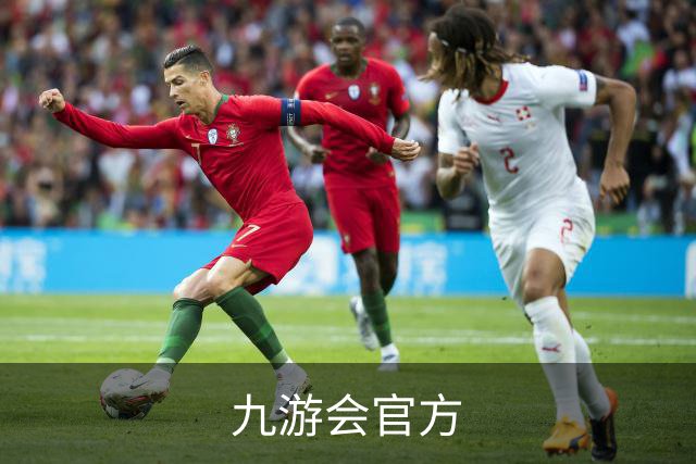 九游会官方公司简介